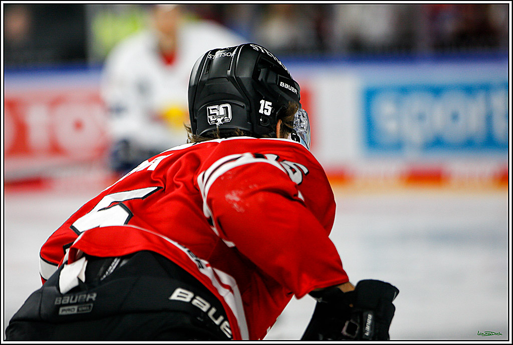 PENNY DEL; Koelner Haie- Red BUll Muenchen; Koeln, 08.11.2022